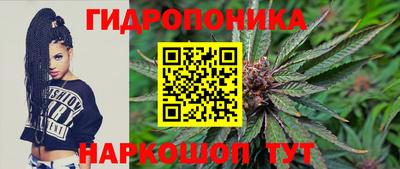 ALPHA PVP Будённовск